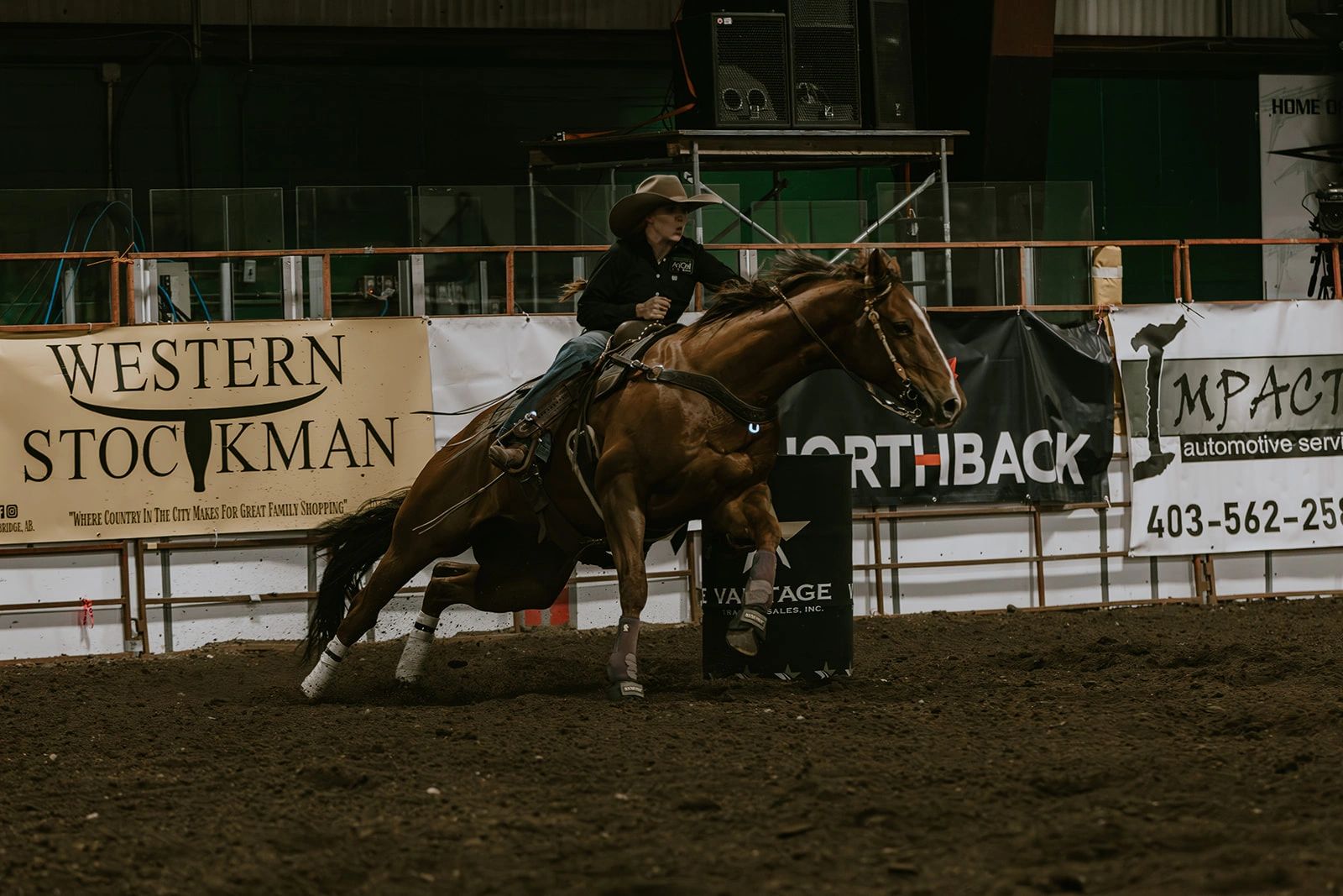 Prof Rodeano Pro Rodeo