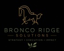 Bronco Ridge Solutions 