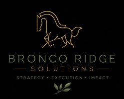 Bronco Ridge Solutions 