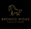 Bronco Ridge Solutions 