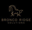 Bronco Ridge Solutions 