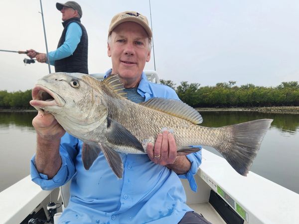 clients inshore fishing mosquito lagoon near New Smyrna Beach 