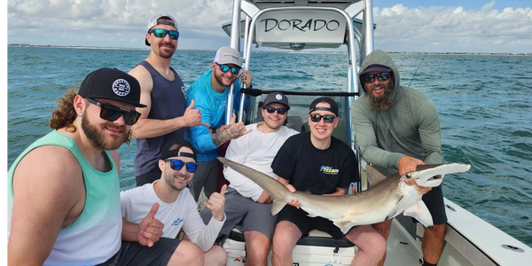 Clients holding a hammerhead shark while shark fishing in New Smyrna  Beach
