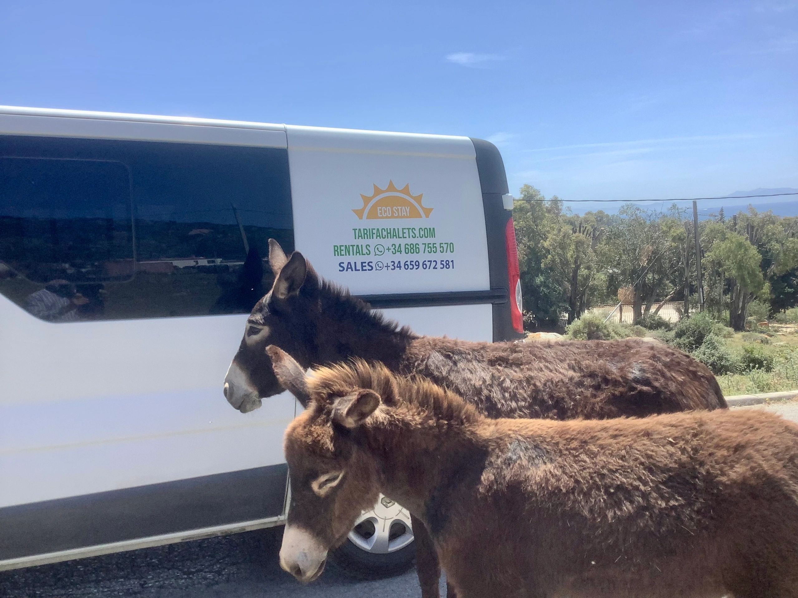 Tarifa Direct Rentals