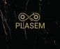 PLASEM S.A.S. de C.V.  