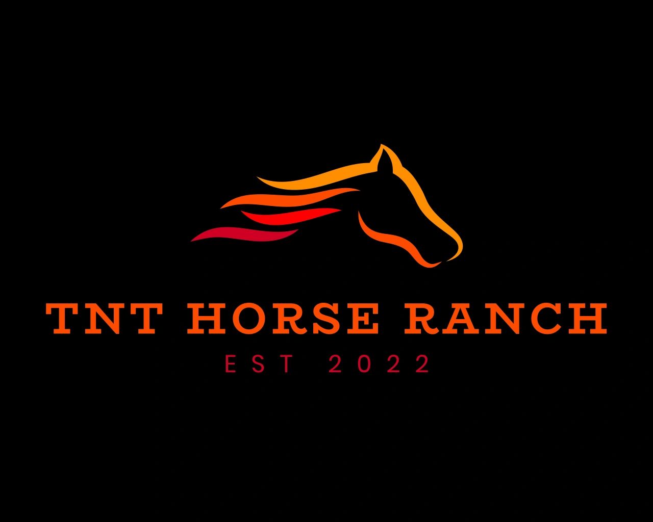 About | TNT Horse Ranch