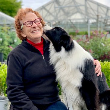 Border Collie kissing his human Mom who is smiling