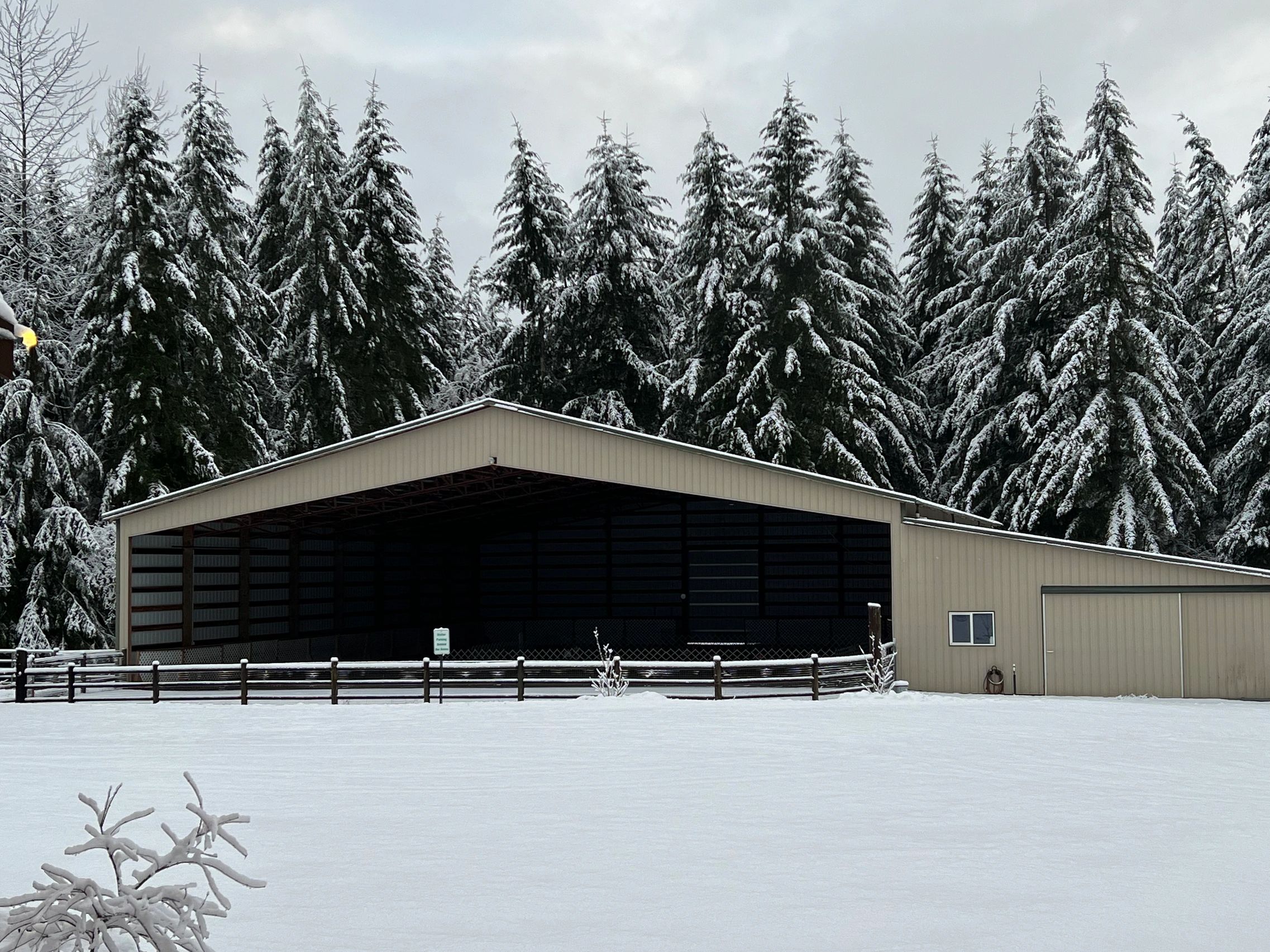 Training facility in the snow with tall trees