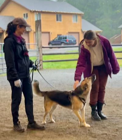 A woman pets a German Shepherd while another woman holds the dog's leash.