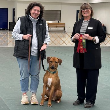 A woman stands next to a judge with her Rhodesian Ridgeback dog on a leash beside her.