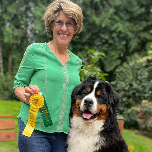 A woman stands with her Bernese Mountain Dog holding two competition ribbons.