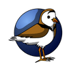 Painted Plover