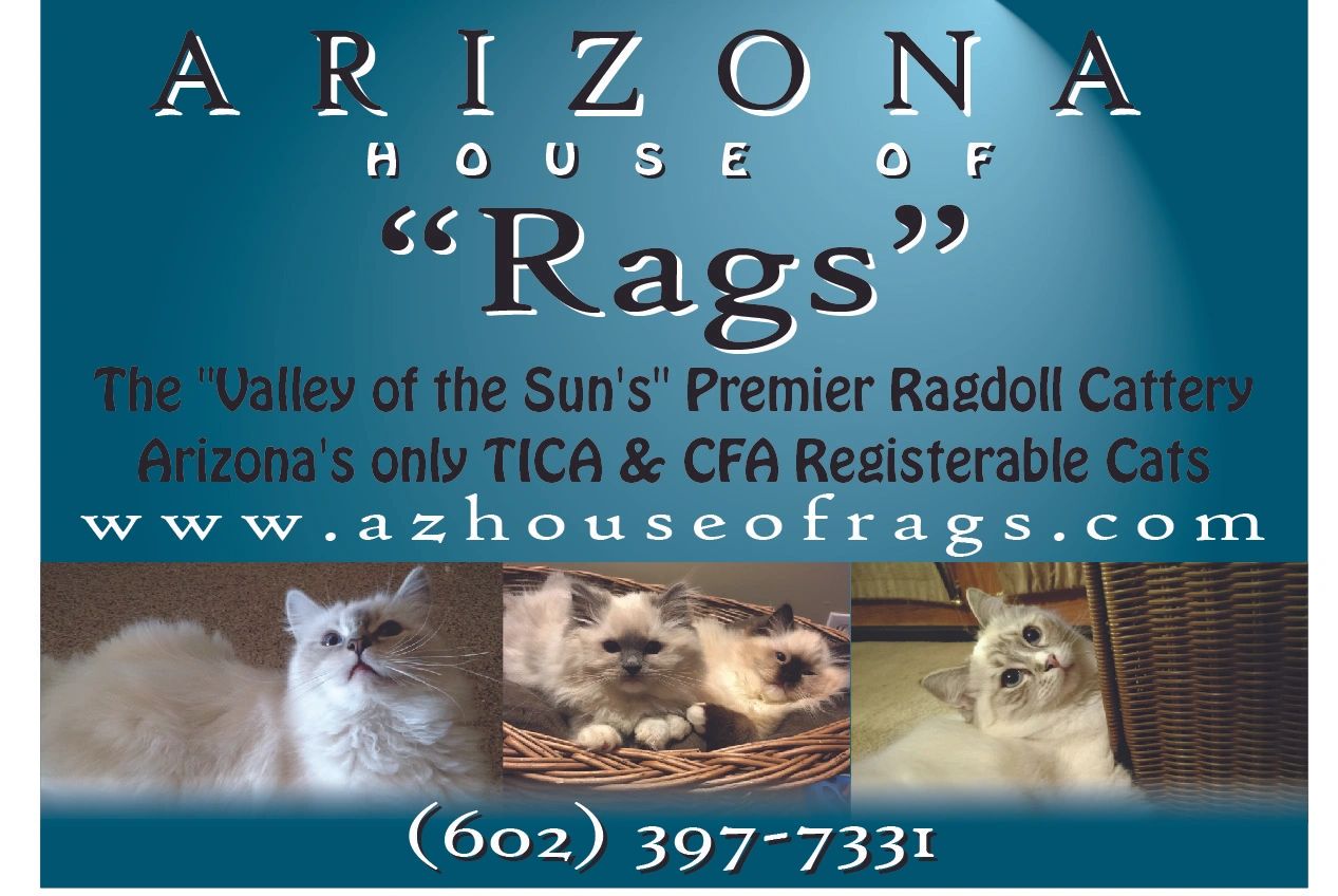 Arizona's House of Rags Home