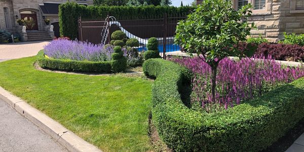 Jardinage/ Entretien Plantes , Fleurs et Arbustes / Garden Maintenance / Gardening  