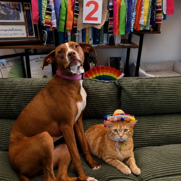 On their 2nd birthdays!
JL: May 5th
CL: May 15th