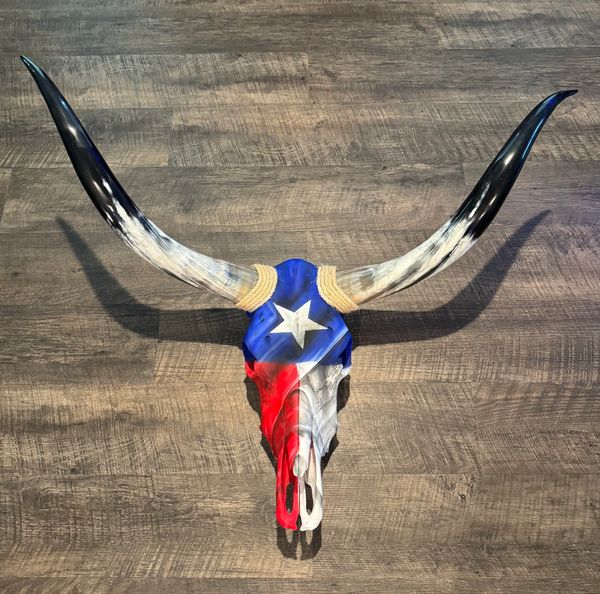 Authentic Longhorn Cow Skull from North Texas. Custom airbrushed with a Texas Flag. Outdoor friendly