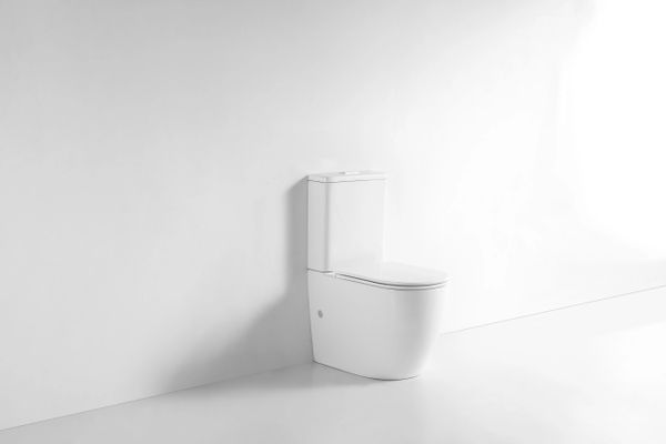Back To Wall Rimless Toliet Suit D2202