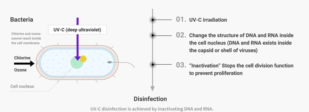 Ultraviolet radiation