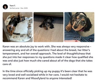 Photos of a happy puppy and an appreciative dog owner review.