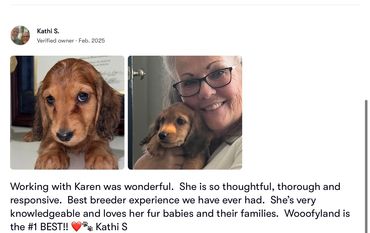 Happy dog and owner with positive testimonial.