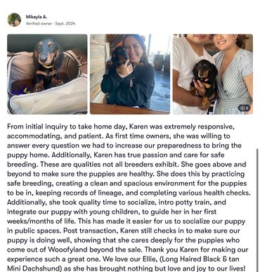 Happy dog owners sharing their joy with puppies.