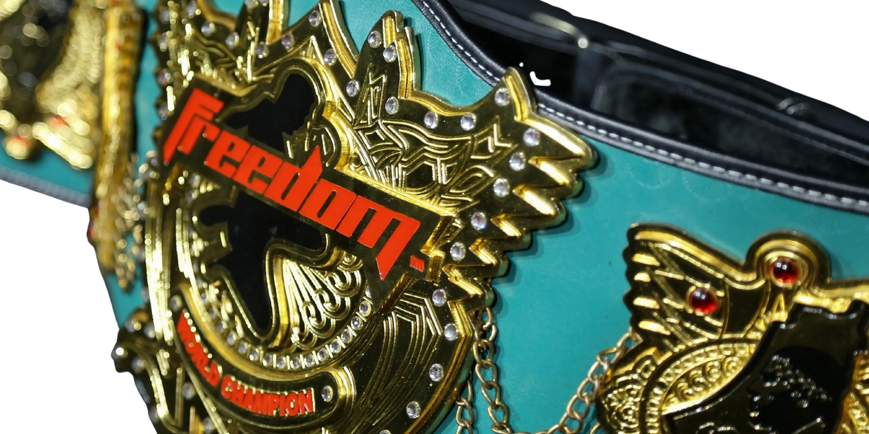 Have what it take to be come a freedom chame 