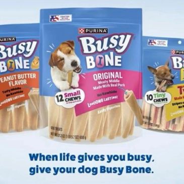 Purina Busy Bone dog chews in various flavors for dogs' enjoyment.