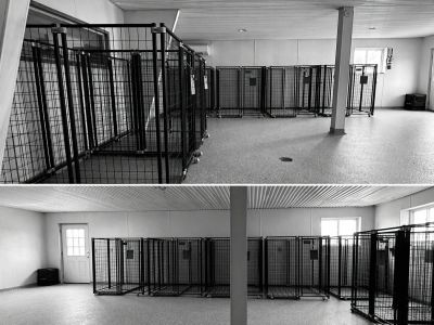 Empty indoor kennel area with multiple metal cages arranged neatly.