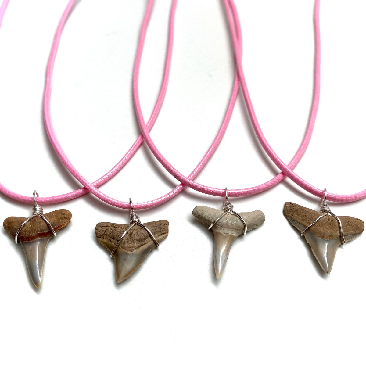 (Pink) Shark Tooth Fossil Necklace