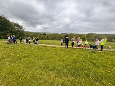 People walking dogs on a cloudy day in a grassy park.