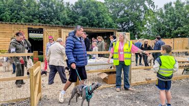 People interacting at an outdoor event with dogs and wearing safety vests.