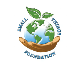 Small Things Foundation