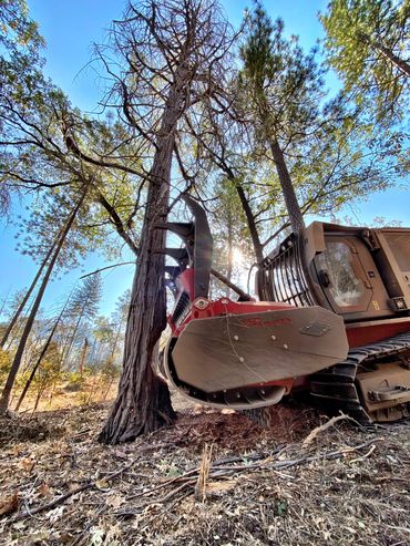 Prinoth Raptor 500 Forestry Mulching Fire Fuel Reduction Prevention Land Clearing California 