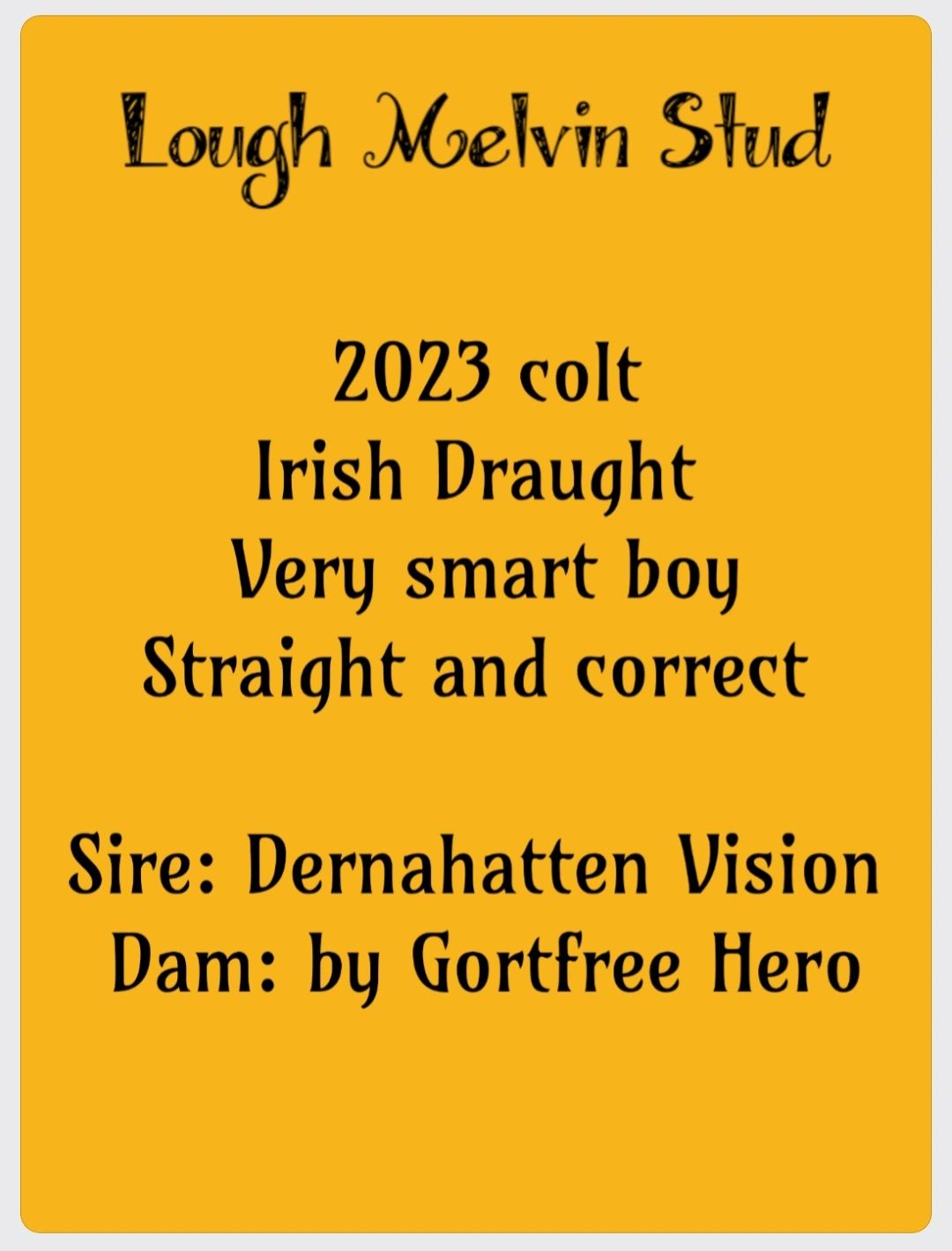 Currently for sale Lough Melvin Stud