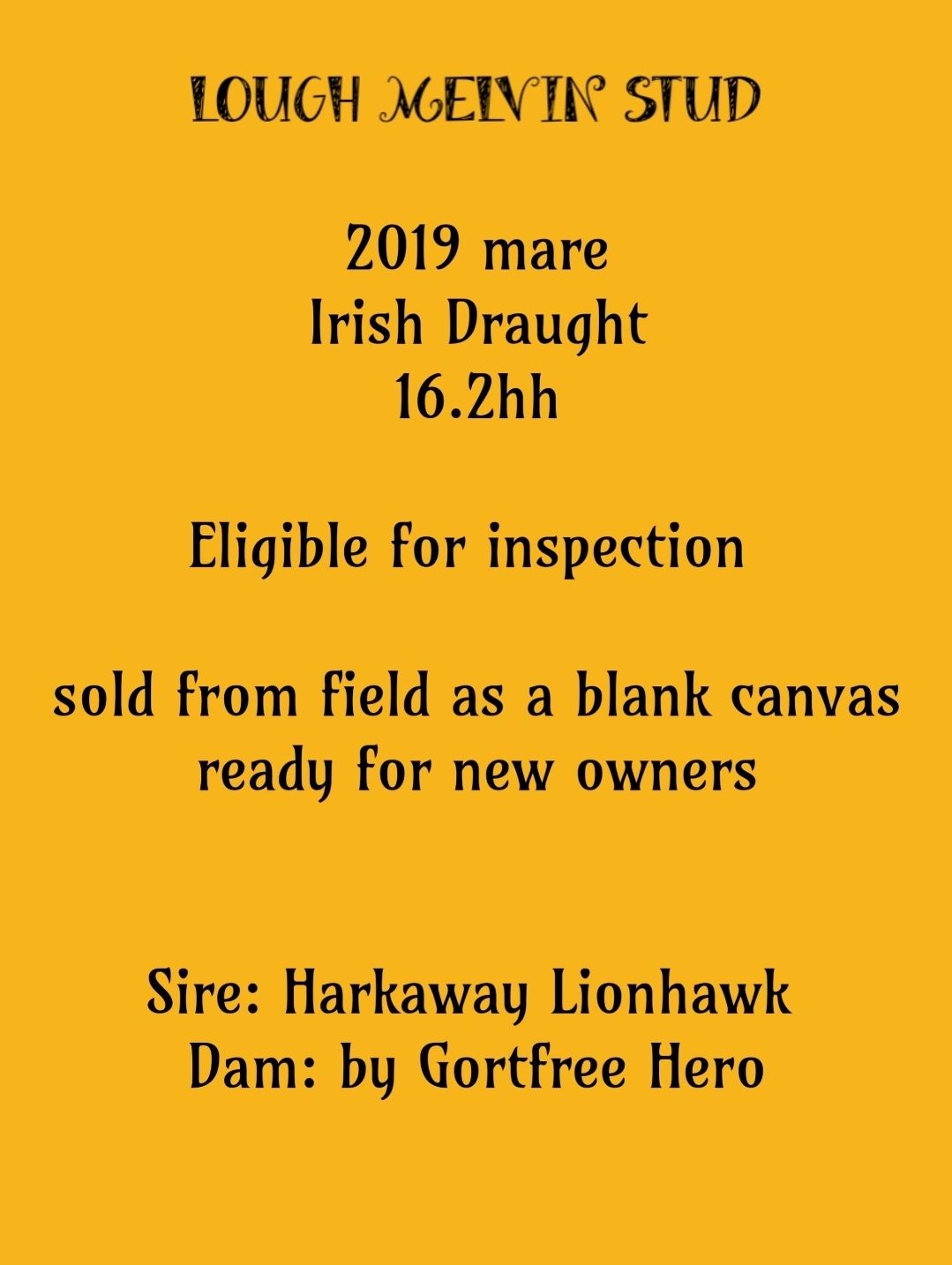 Currently for sale Lough Melvin Stud