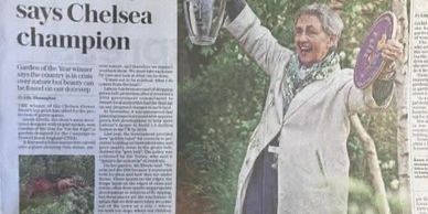 Chelsea champion celebrating with a trophy and a plate outdoors.