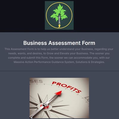 Image of our NextLevel Business Assessment Form.