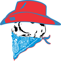 Texas Blues Select Baseball