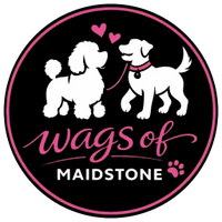 WAGS of Maidstone