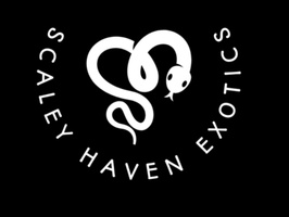 Scaley Haven Exotics