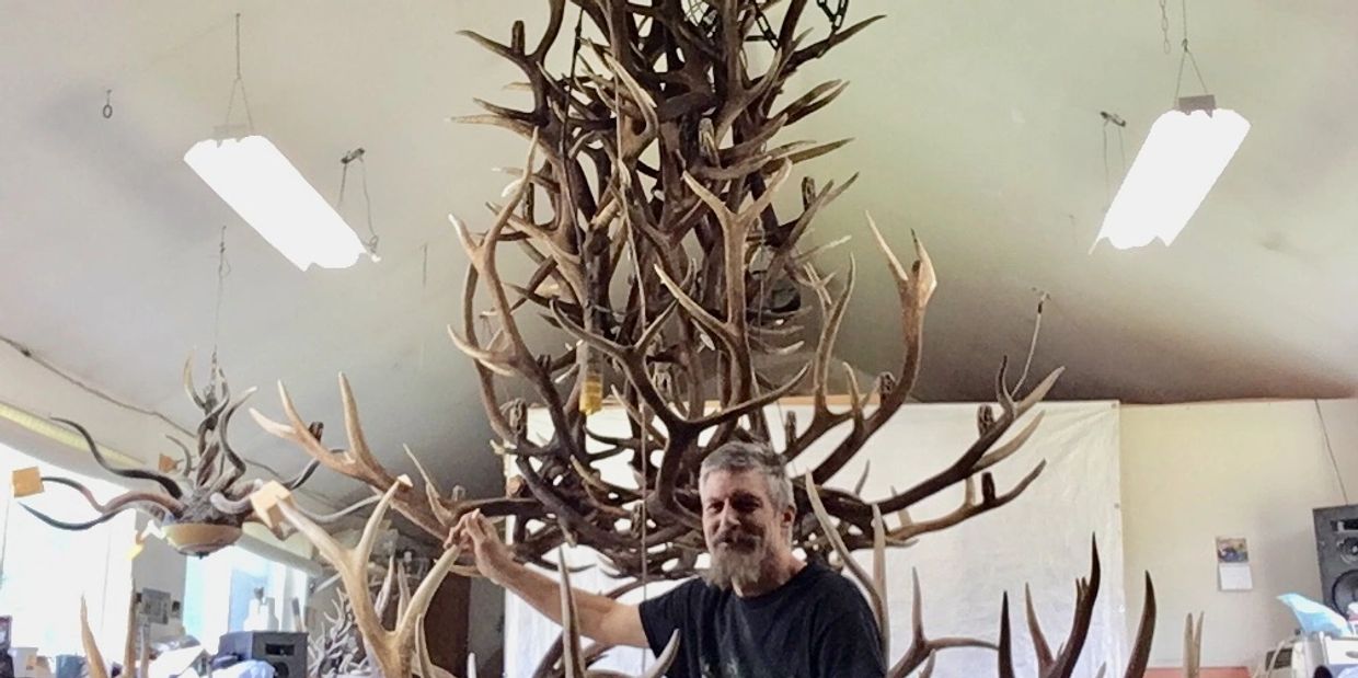 7 foot real elk antler chandelier