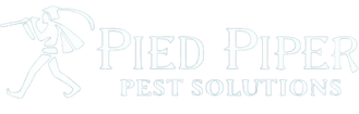 Pied Piper Pest Solutions
