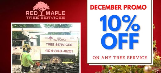 Red Maple Tree Services Tree Services Atlanta Georgia Tree Removal
