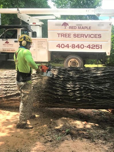Red Maple Tree Services Tree Services Atlanta Georgia Tree Removal
