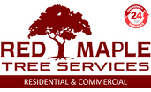 Red Maple Tree Services