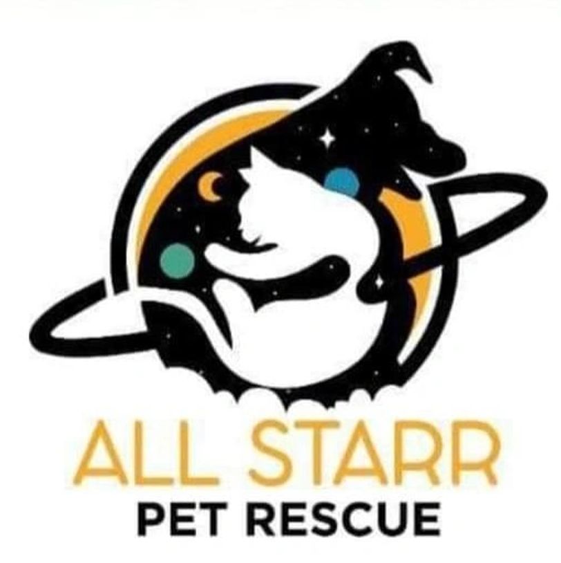 We are a foster pet adoptions non profit based rescue out of Elida Ohio. 
after wedding  fur babies