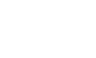 Techbubble