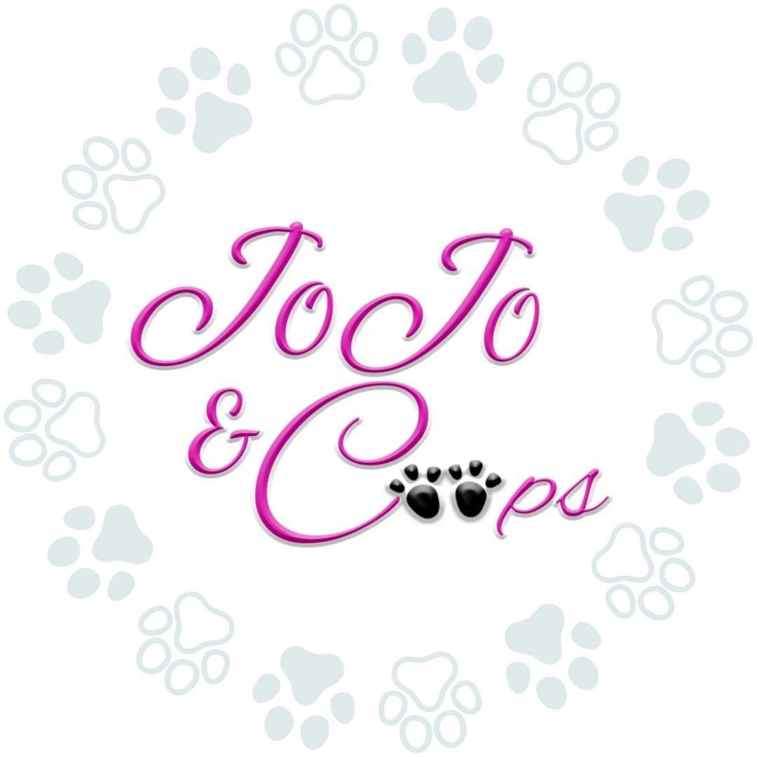 JoJo & Coops Dog Walker, Plympton Dog Walkers, Dog Walkers Near Me