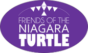 Friends of the Niagara Turtle