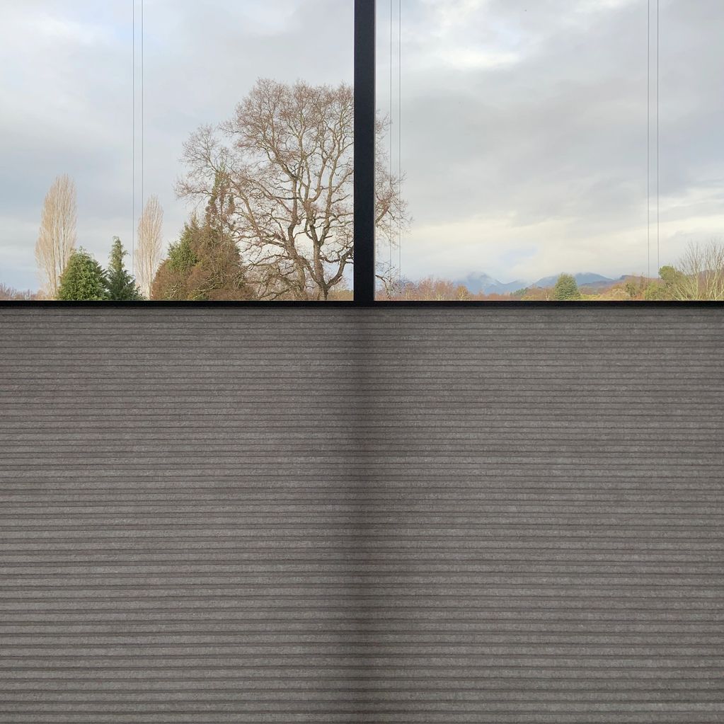 Cortina Duette Top Down/Bottom Up.